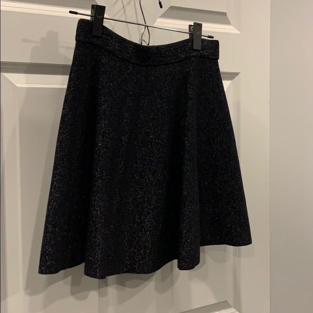 Express Skirt